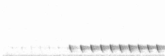 Graunachtschwalbe - ML241603391