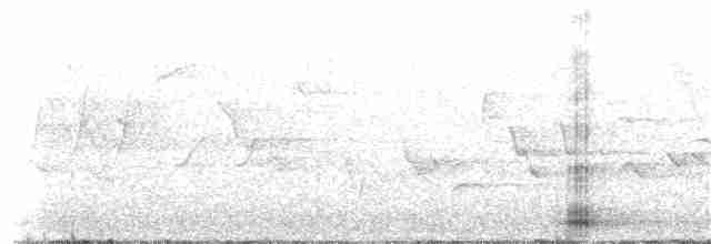 Cuervo Grande - ML241607781