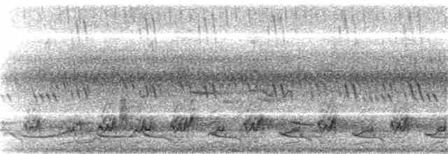 hvithodelattertrost - ML241611051