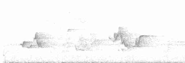 Acadian Flycatcher - ML241630521