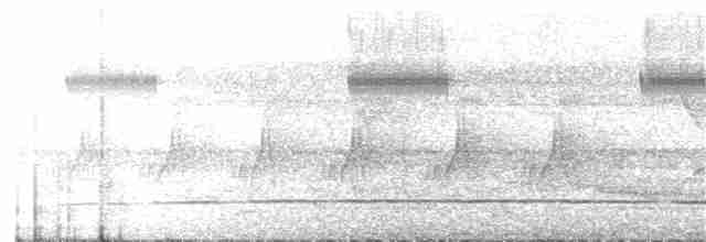 Каштановый зимородок - ML24163811