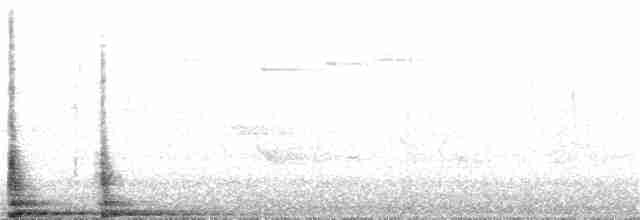 Canada Warbler - ML241647711