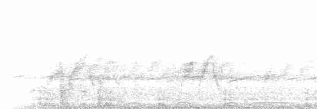 Kızılağaç Sinekkapanı - ML241652221