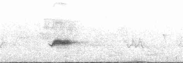 Esmer Bülbül Ardıcı - ML241653081