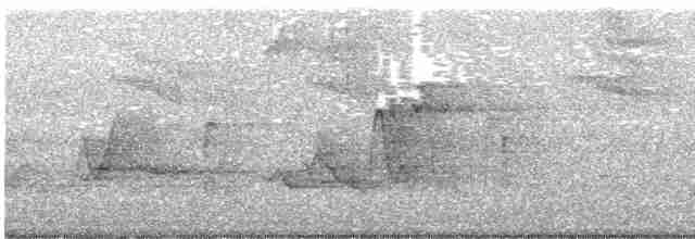 Acadian Flycatcher - ML241654741