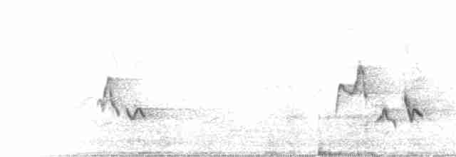 Красноглазый виреон - ML241655031