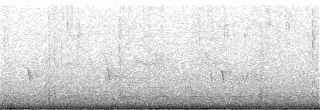 Dark-necked Tailorbird - ML241658991