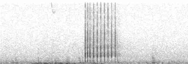 Колібрі-довгохвіст смарагдовий - ML241665