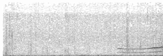 Черноклювая гагара - ML241672081