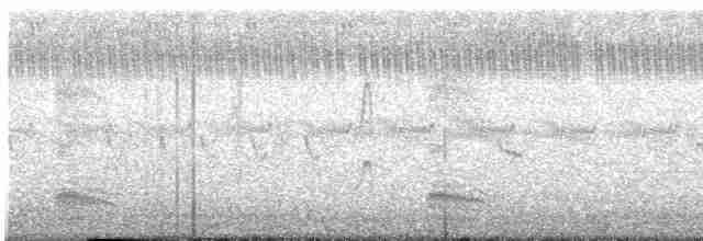 Lesser Whistling-Duck - ML241736121