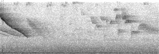 mustasjekjerrspurv (meridae) - ML241754271