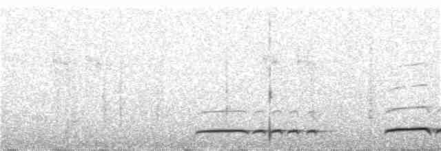 Сичик-горобець андійський - ML241759921