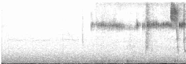 Rufous Hummingbird - ML241762681