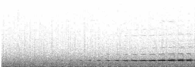 Gray-naped Antpitta - ML241824201
