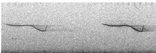 Band-winged Nightjar (Rufous-naped) - ML241835