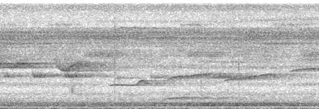 Epaulet Oriole (Epaulet) - ML24185