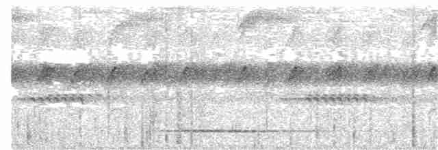 Gray Tinamou - ML241858811