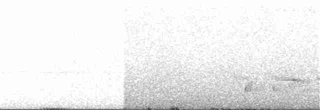 Пінон брунатний - ML241888401