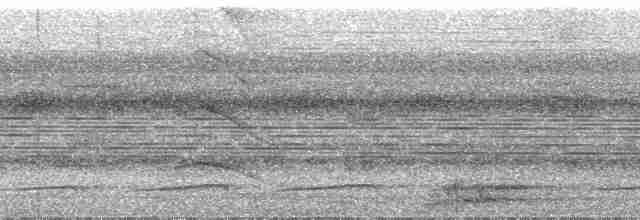 gittermaurvarsler - ML24190