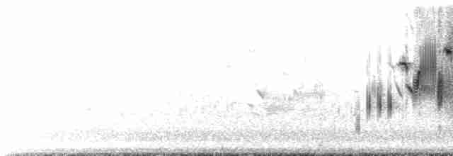 Приморская овсянка-барсучок (maritima/macgillivraii) - ML241902611