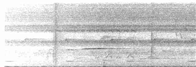 Blackcap Illadopsis - ML24192271