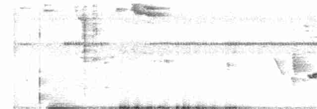 Long-billed Gnatwren - ML241938511