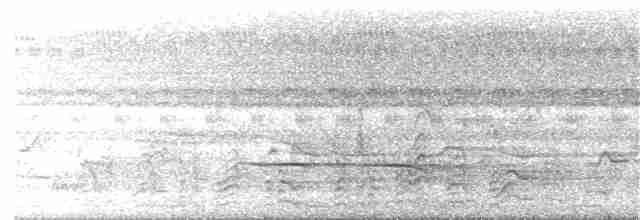Желтогорлая кукушка - ML24195331