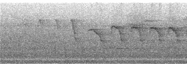 Каатинга плямистокрила [група boucardi] - ML241976