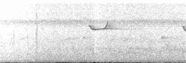 Souimanga à bec droit (tephrolaemus) - ML24198721
