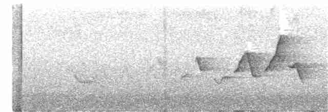 Hooded Warbler - ML241993061