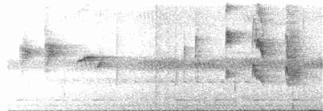 Ak Karınlı Tepeli Sinekkapan (albiventris) - ML24199971
