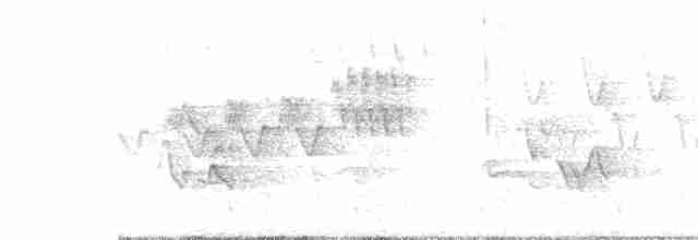 Cerulean Warbler - ML242000121