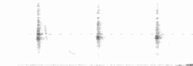 Carouge à calotte rousse - ML242009221
