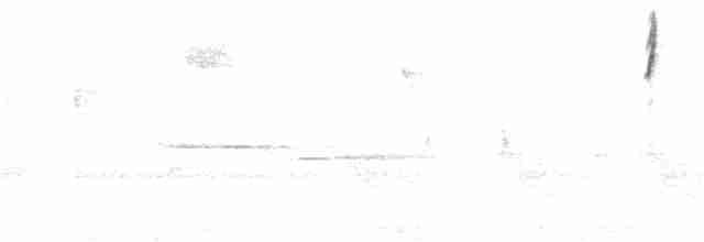 oransjekroneparula (celata/orestera) - ML242023111