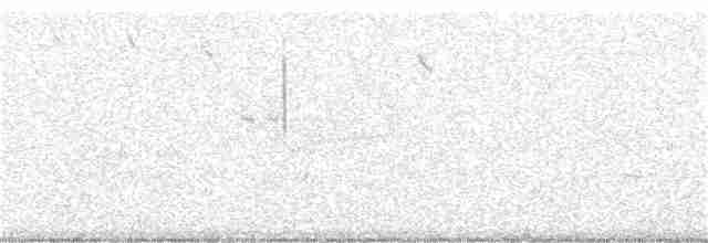 vlhovec červenokřídlý - ML242024621