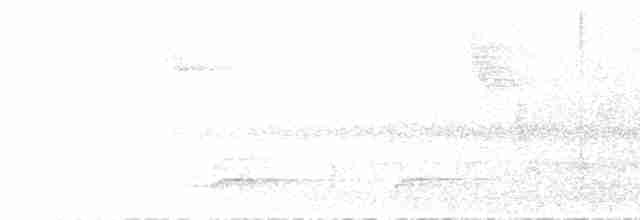 Лопатодзьоб рудокрилий - ML242037311