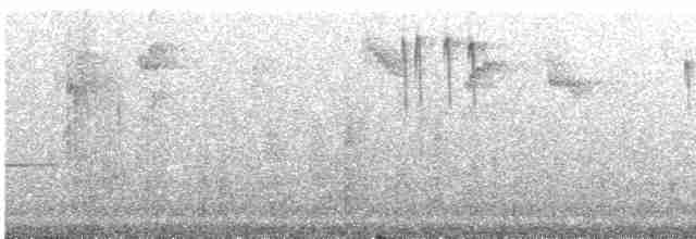 Тиранчик-довгохвіст жовточеревий - ML242039