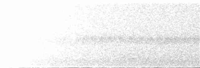 White-throated Woodcreeper - ML242041131