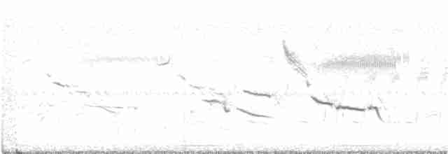 Eastern Meadowlark - ML242060501