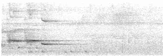 Большеклювый дронго - ML24206691