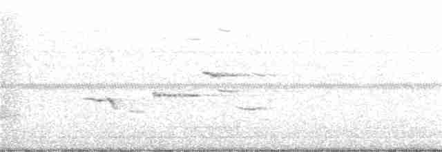 Eastern Meadowlark - ML242093551