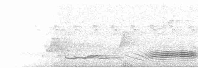 Long-tailed Manakin - ML242097431