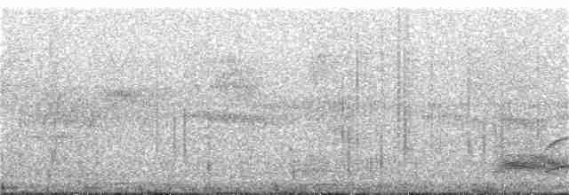 gråpannegrønndue - ML242097651