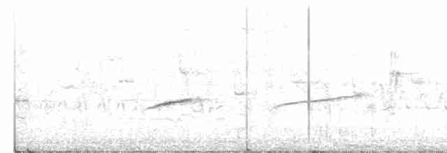 Blyth's Reed Warbler - ML242117251