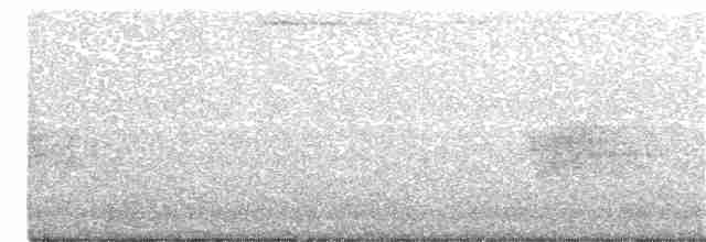 Savannennachtschwalbe - ML242121751
