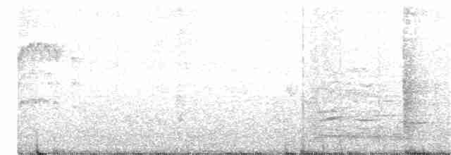 Swinhoebrillenvogel - ML242121981
