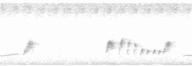 Timalie à col blanc - ML242143091