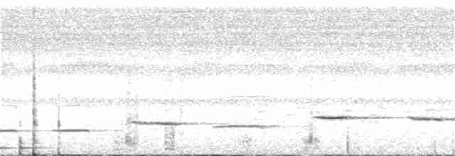 Gelbbauch-Bülbülgrasmücke - ML24216591