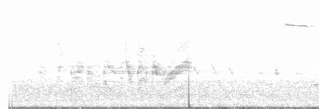 Bell's Vireo - ML242184121