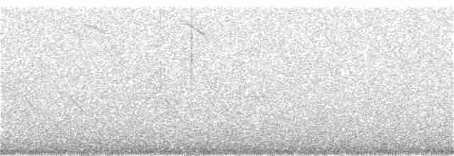 Western Black-eared Wheatear - ML242194251